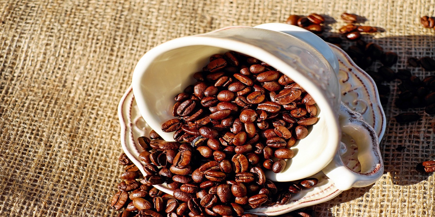 SD852F Bones Coffee: Bold Flavors, Premium Beans, and a Coffee Experience You’ll Crave