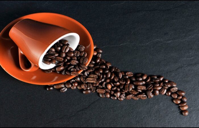Bones Coffee Product Collections: A Complete Guide to Bold Flavors, Premium Quality, and Creative Coffee Experiences